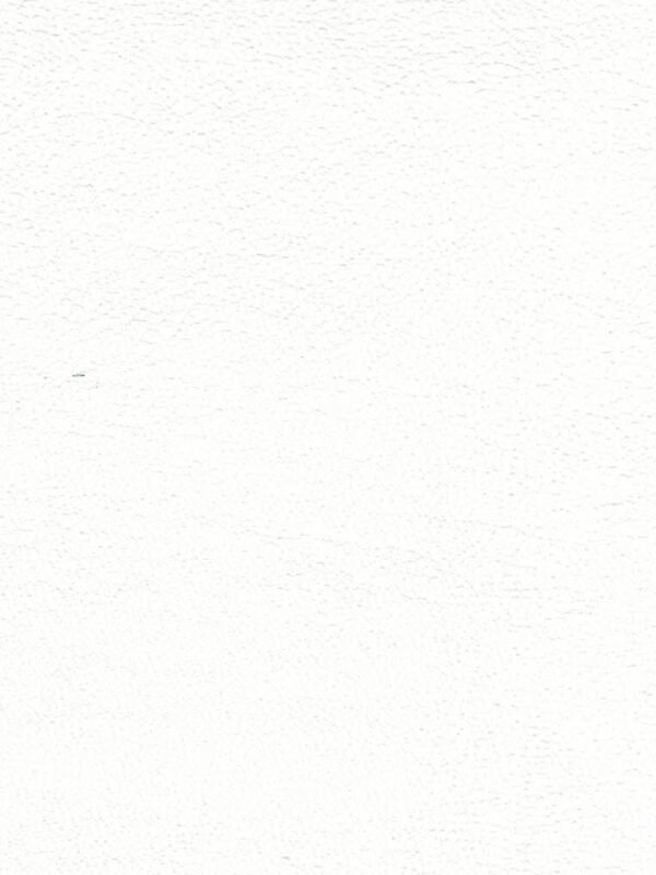 201 Phoenician White