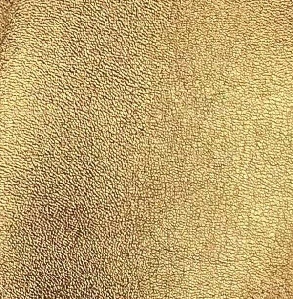 Bronze Lion pic scan