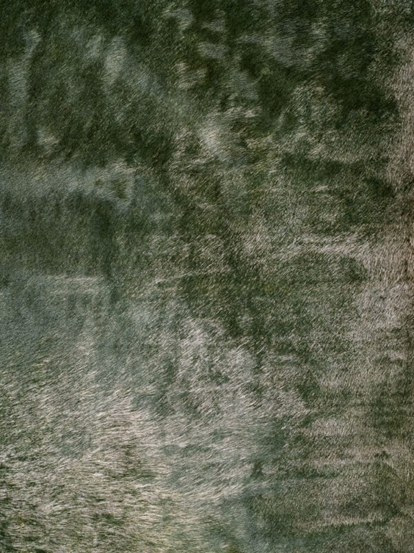 Hair On TwoTonemargarita