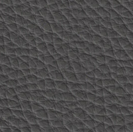 Holland 1004 Grey Day