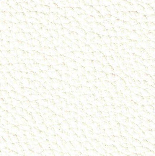 Manhattan P25 Hudson