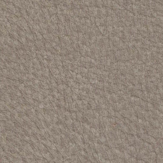 Mojave 405 Cotton Seed