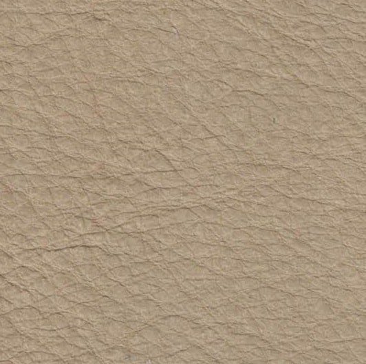 Mojave 407 Sand Dune