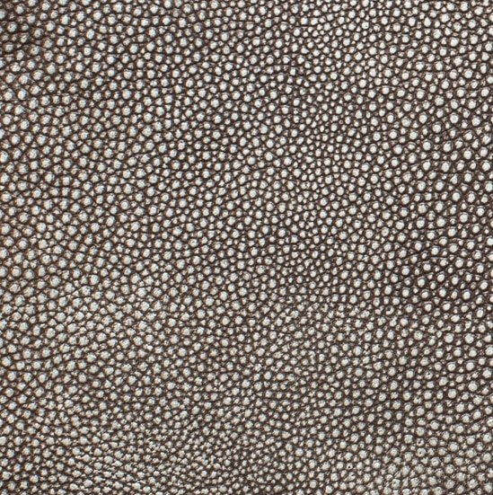 Shagreen Natural Silver