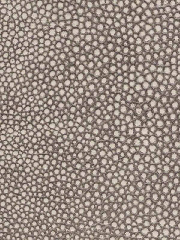 Shagreen Smokey Beige