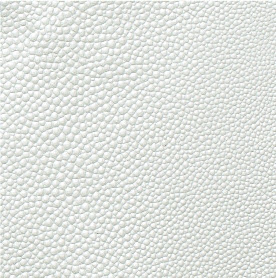 Shagreen Tahitian Pearl