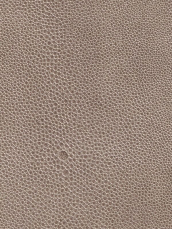 Shagreen